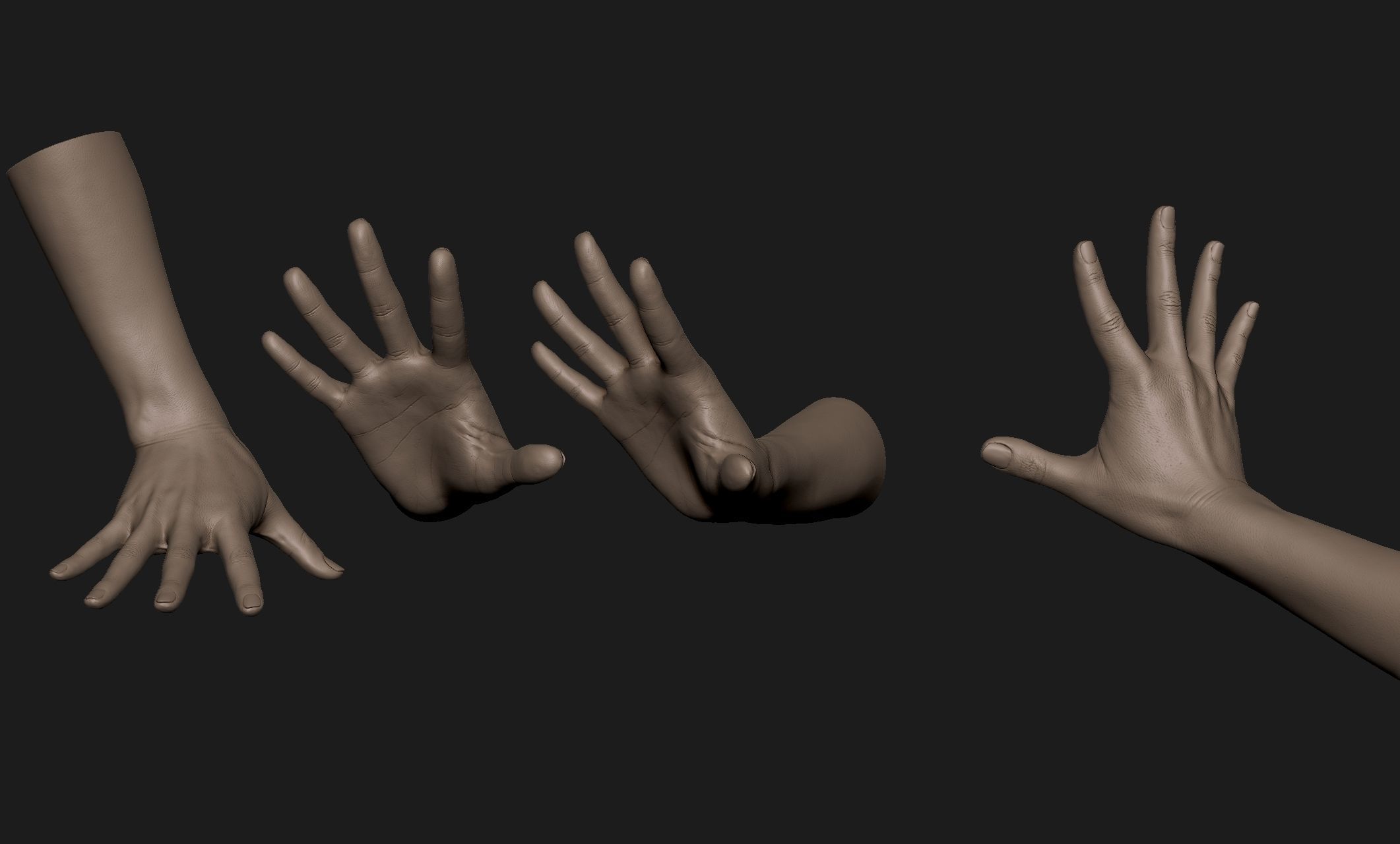Realistic Female Hand Sculpt 7 3D model_5