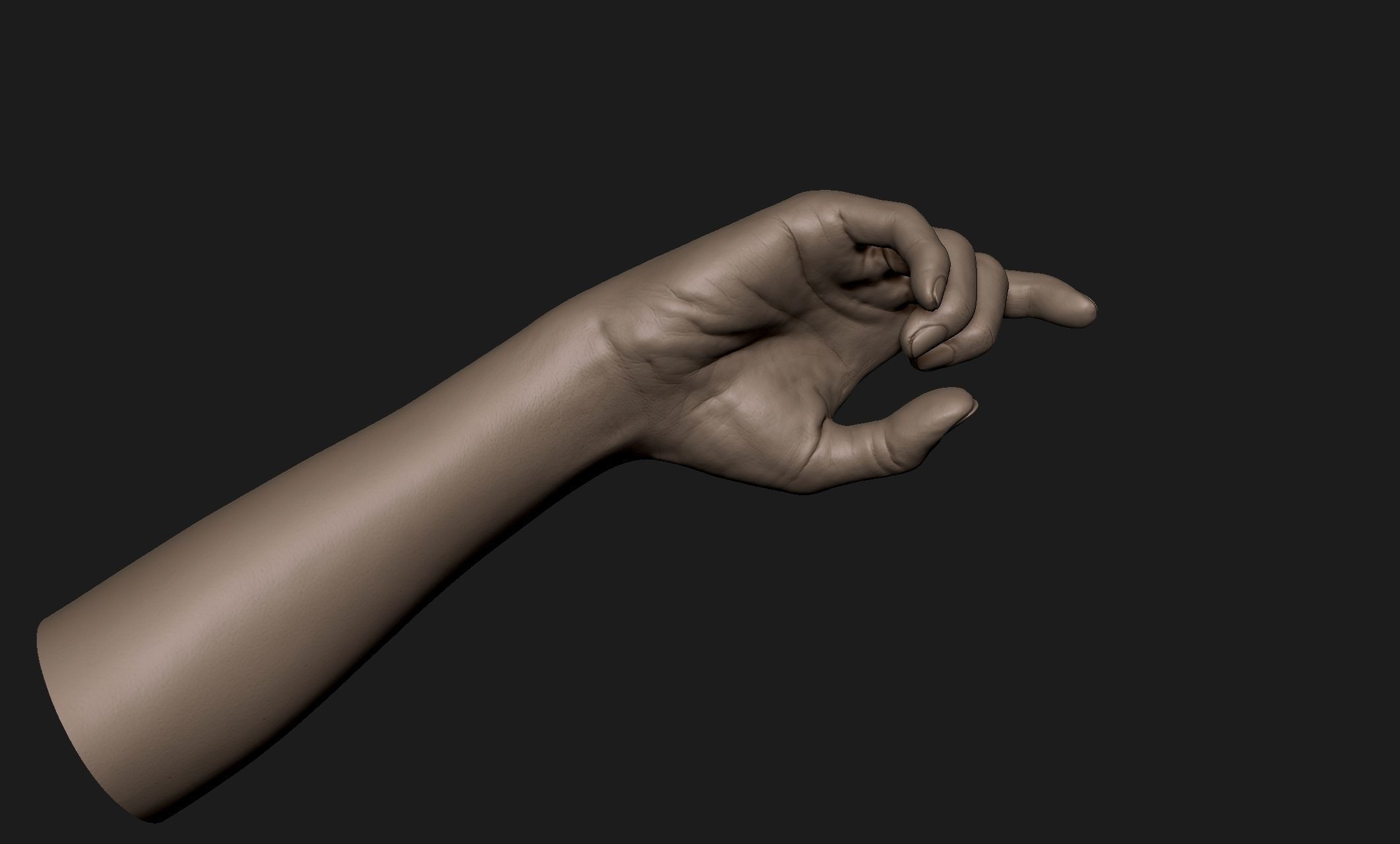 Realistic Female Hand Sculpt 8 3D model_3