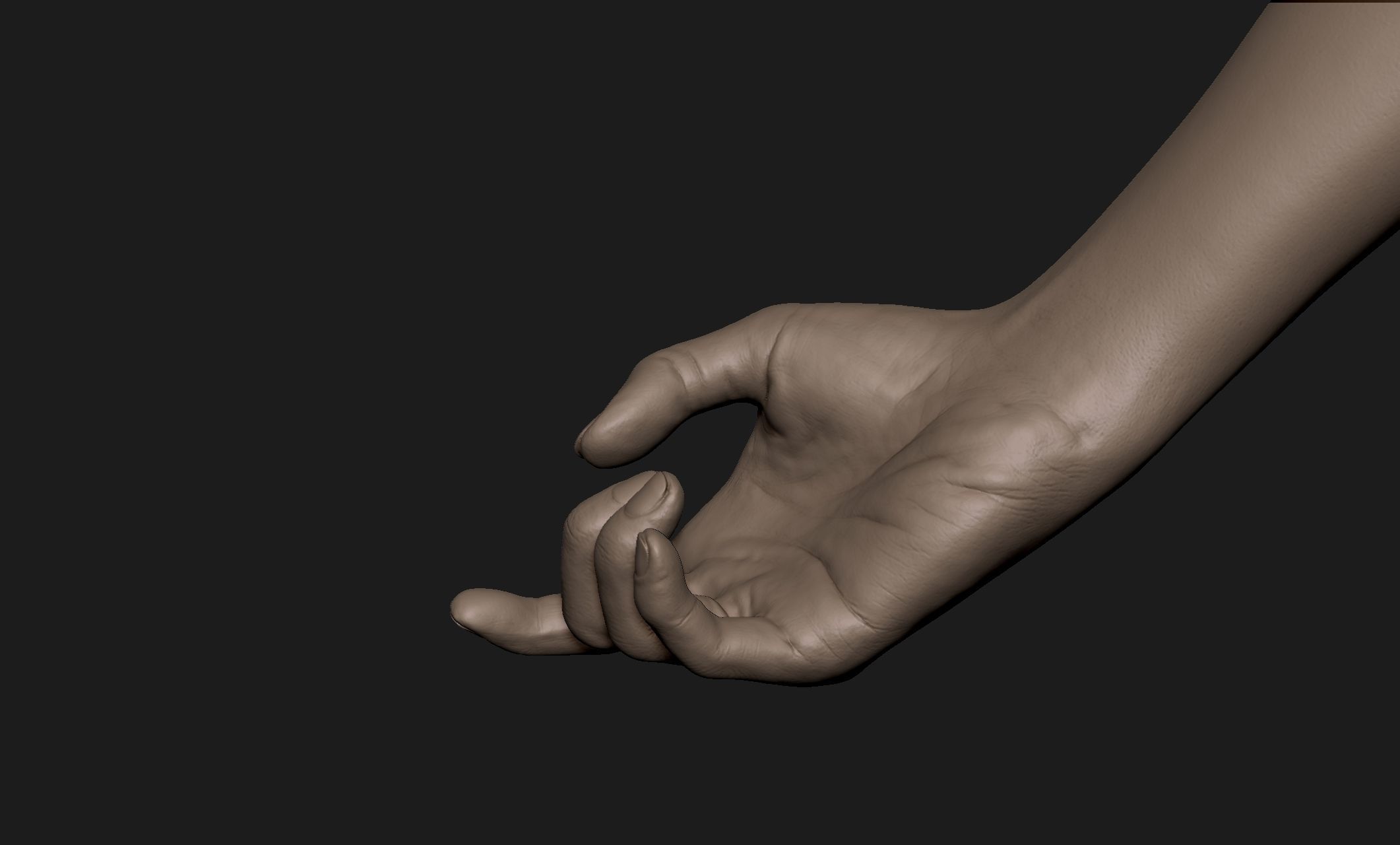 Realistic Female Hand Sculpt 8 3D model_2