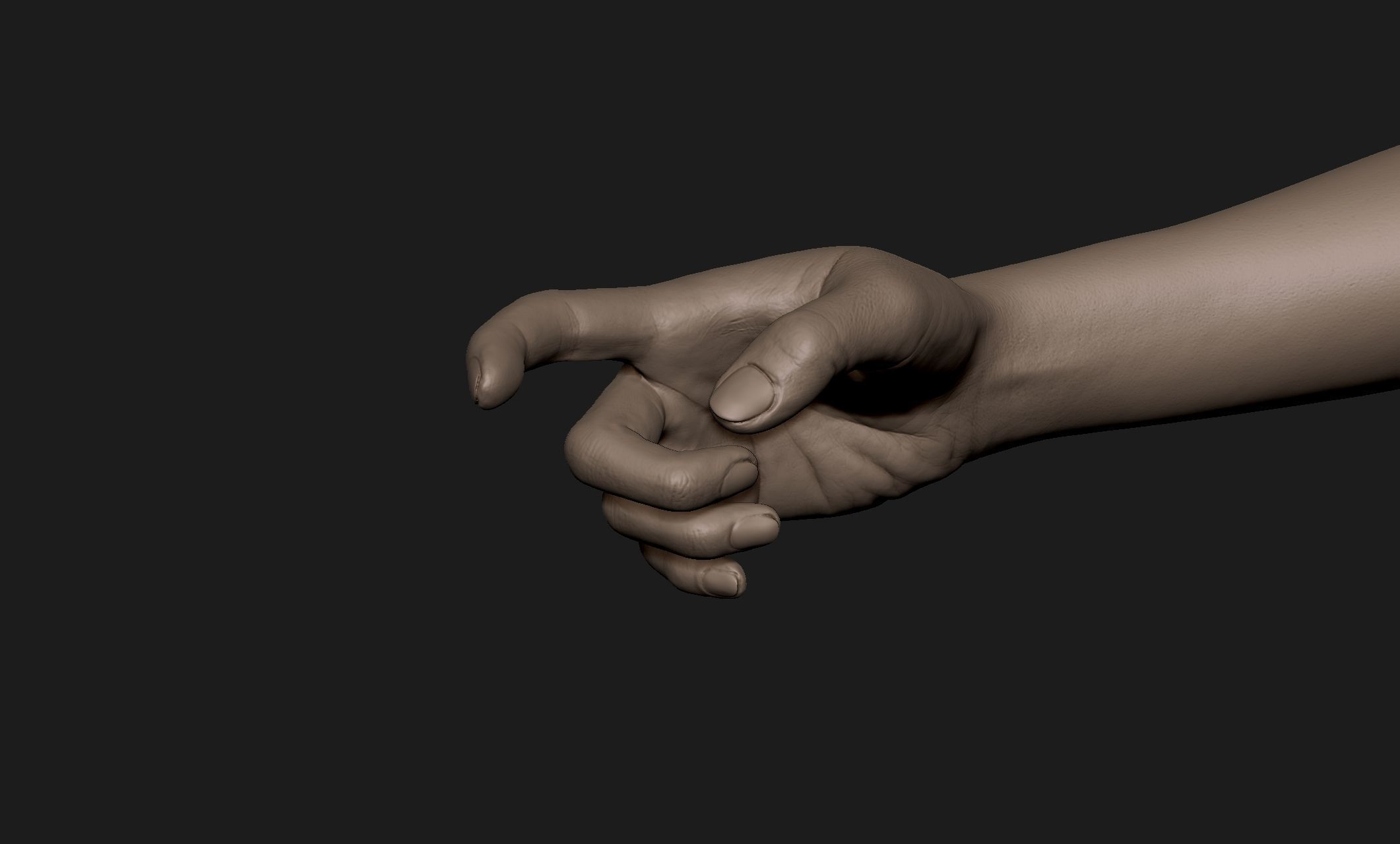 Realistic Female Hand Sculpt 8 3D model_1
