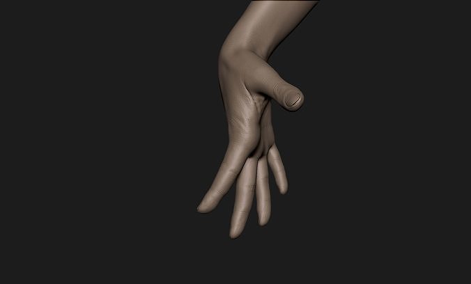 Realistic Female Hand Sculpt 9 3D model