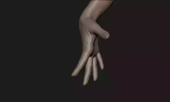 Realistic Female Hand Sculpt 9 3D model
