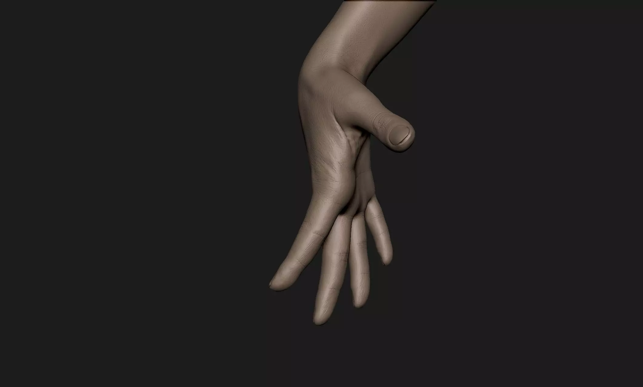 Realistic Female Hand Sculpt 9 3D model_0