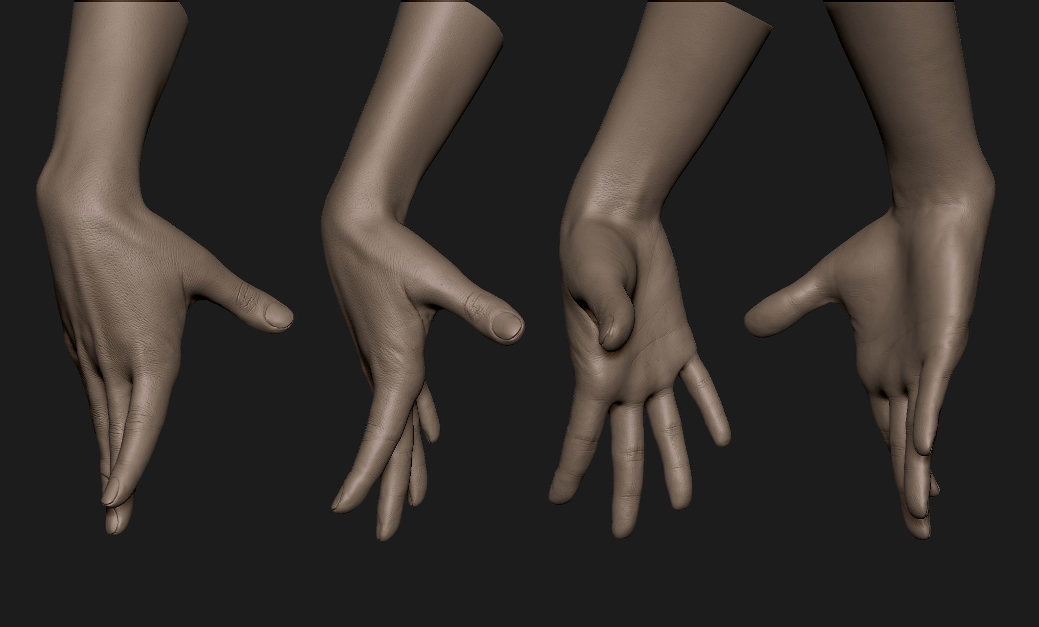 Realistic Female Hand Sculpt 9 3D model_5