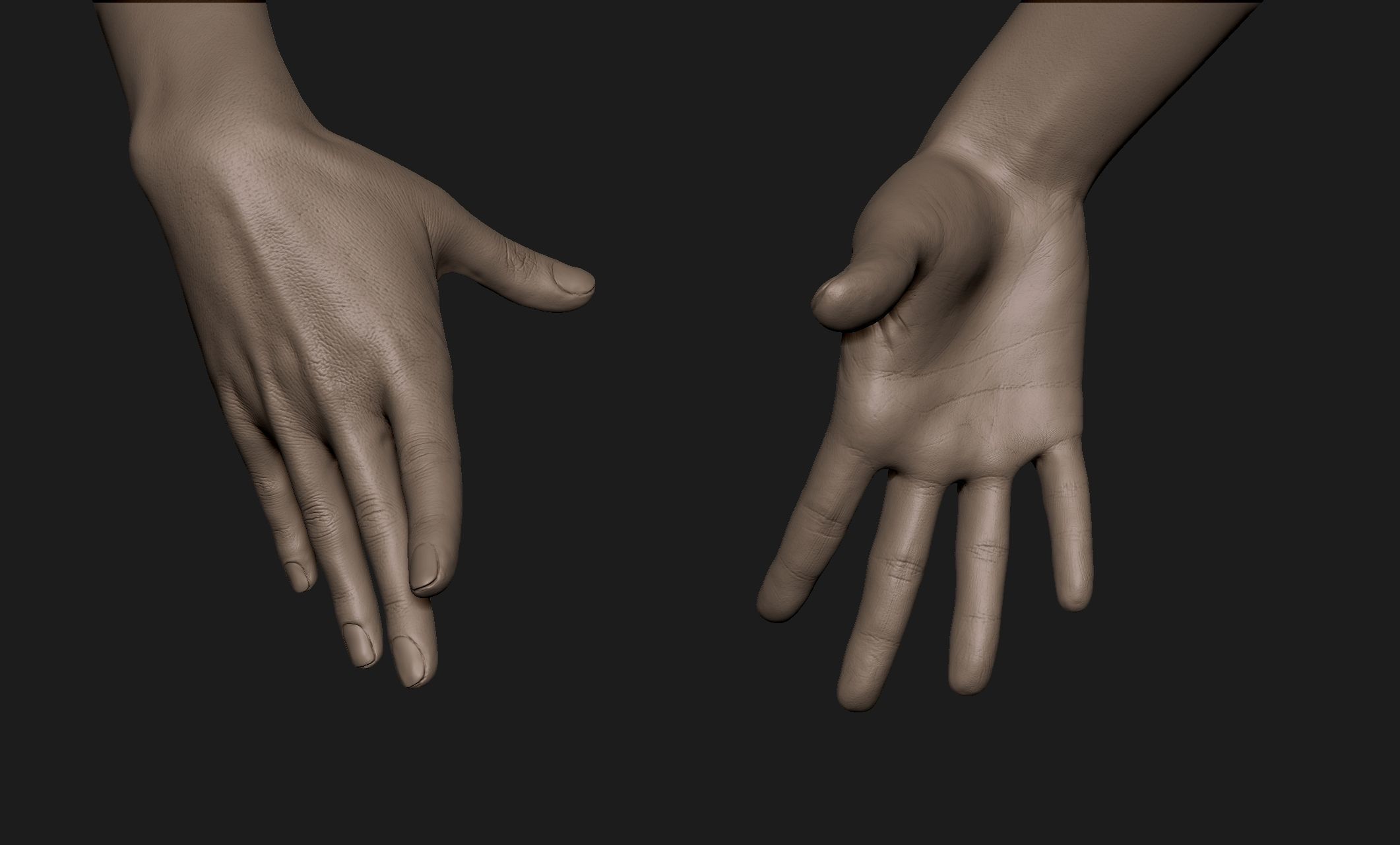 Realistic Female Hand Sculpt 9 3D model_1
