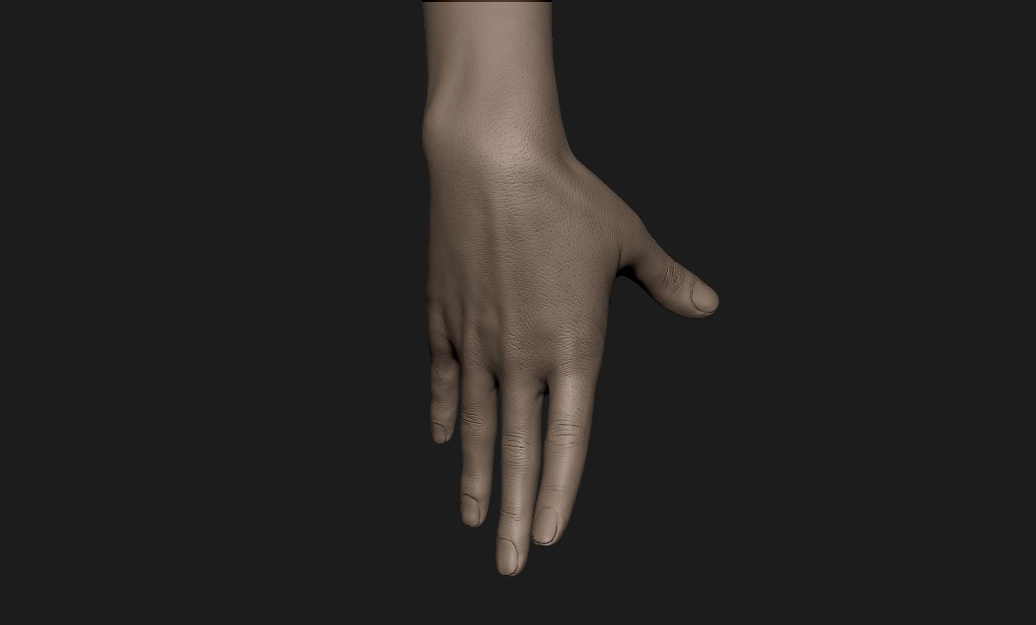 Realistic Female Hand Sculpt 9 3D model_3