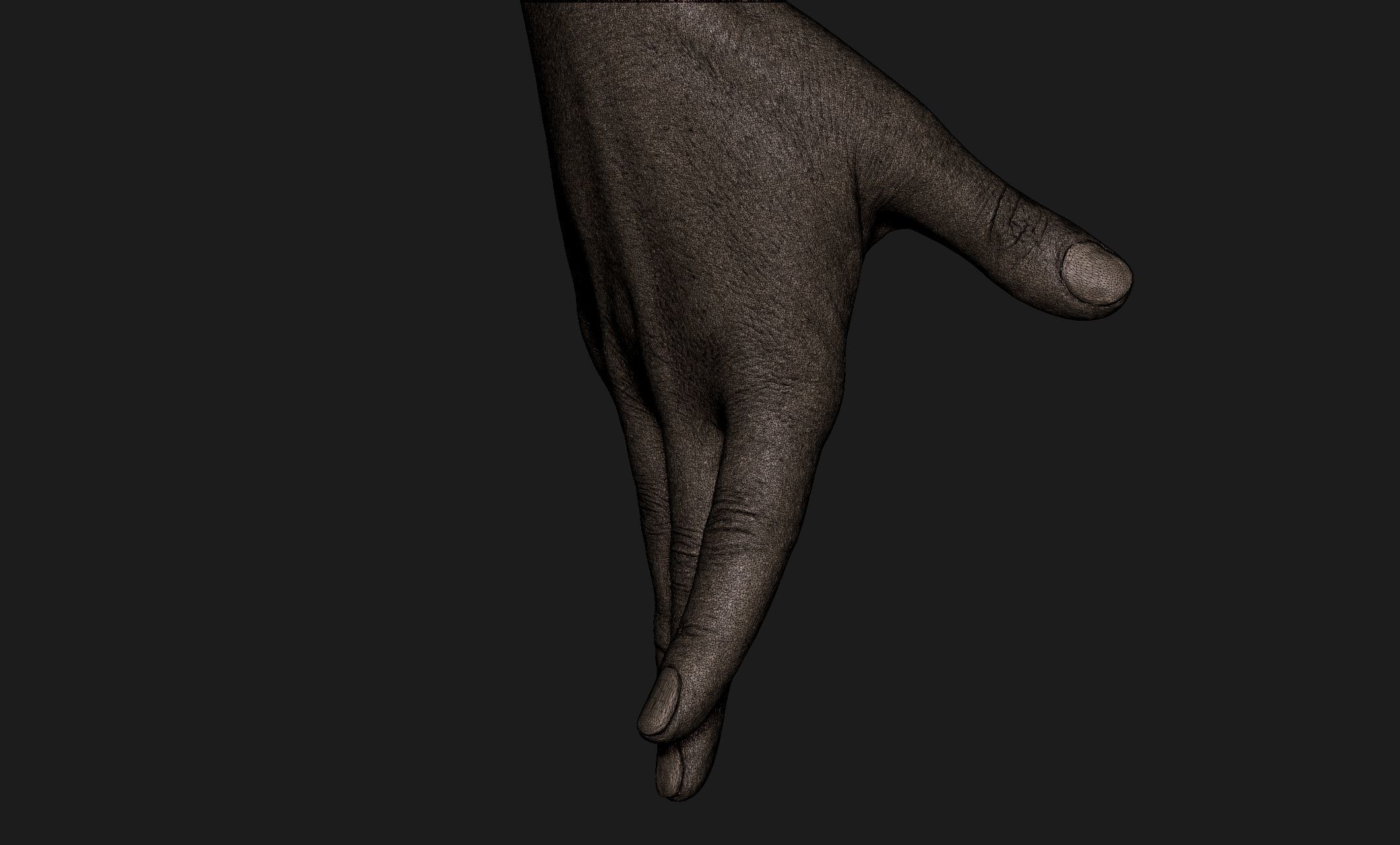 Realistic Female Hand Sculpt 9 3D model_6