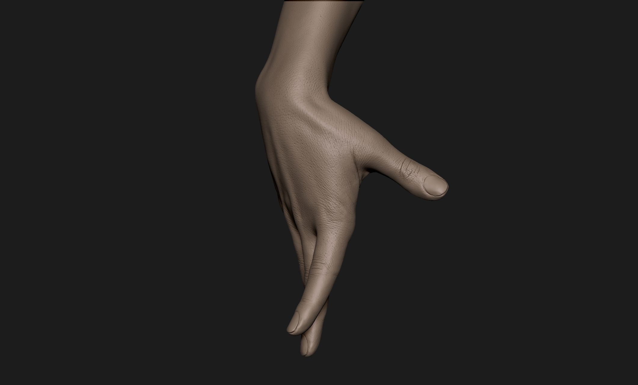 Realistic Female Hand Sculpt 9 3D model_2