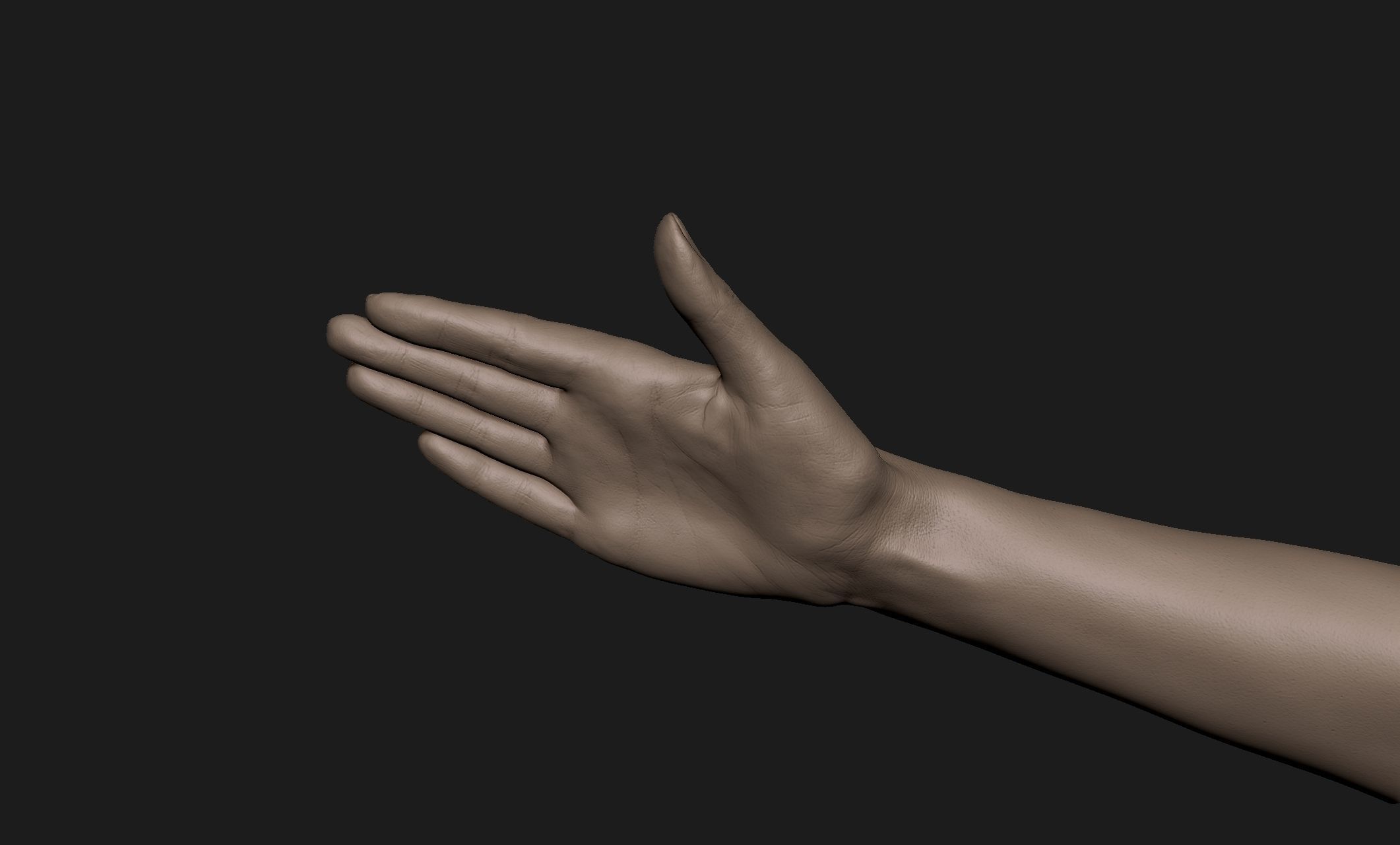 Realistic Female Hand Sculpt 10 3D model_5