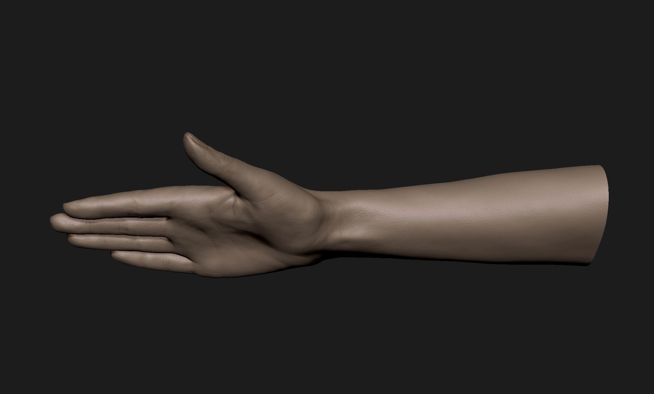 Realistic Female Hand Sculpt 10 3D model_4
