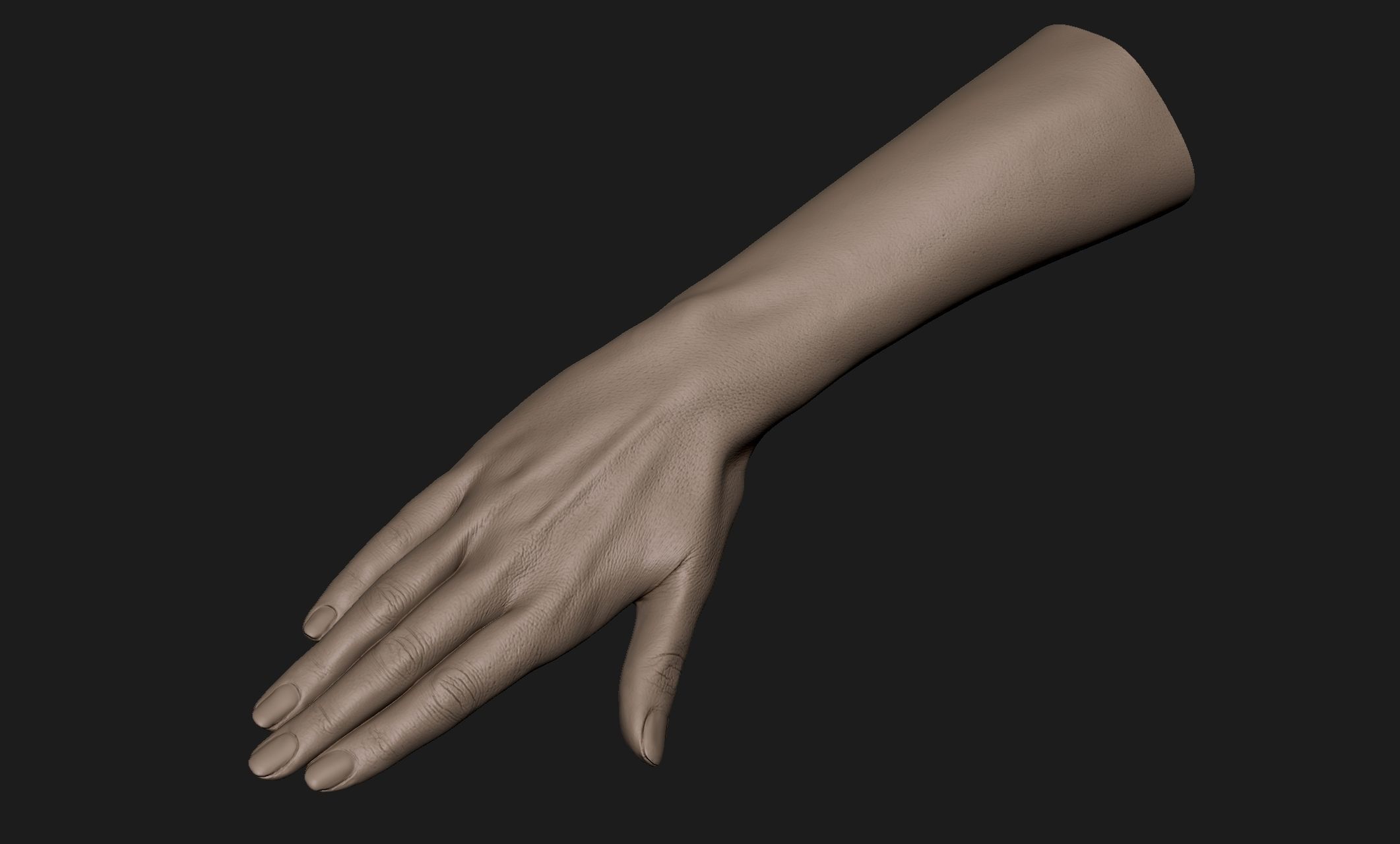 Realistic Female Hand Sculpt 10 3D model_1
