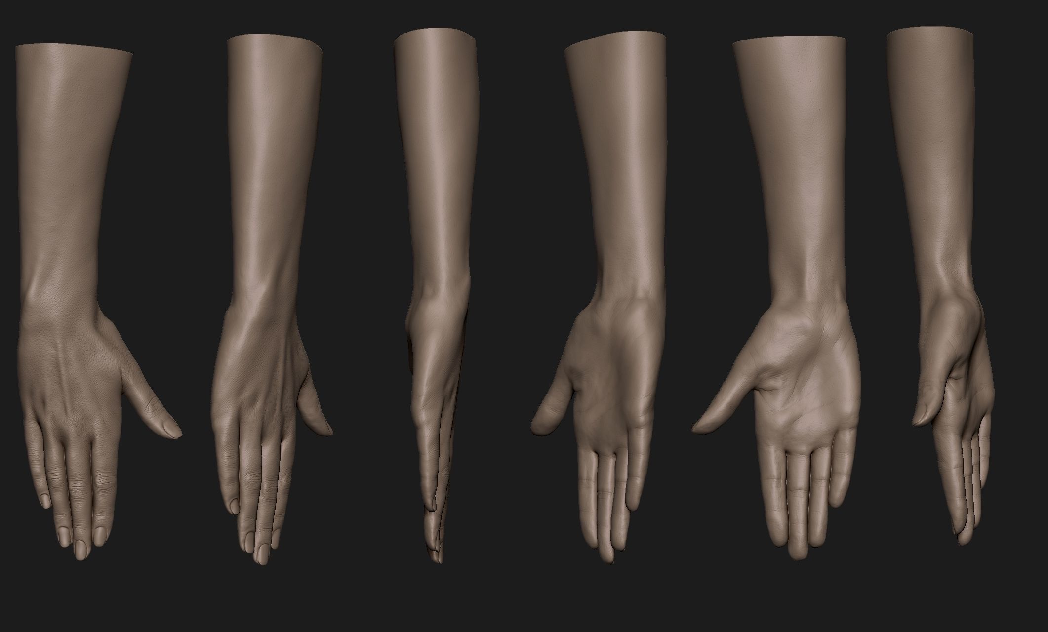 Realistic Female Hand Sculpt 10 3D model_7