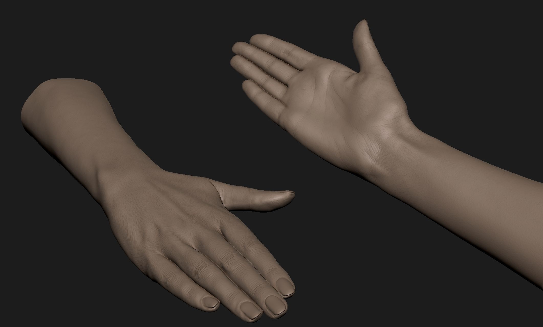 Realistic Female Hand Sculpt 10 3D model_8