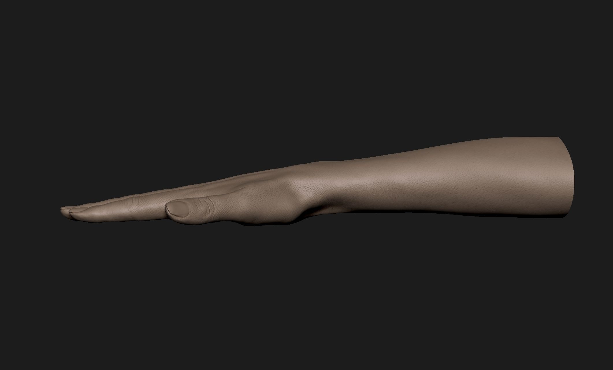 Realistic Female Hand Sculpt 10 3D model_3