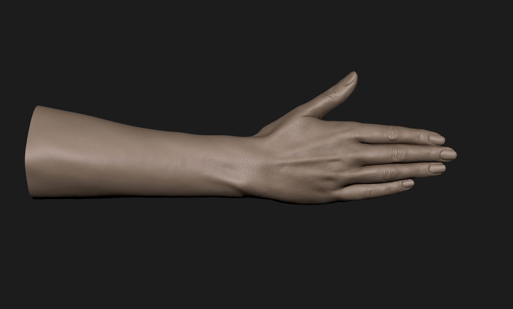 Realistic Female Hand Sculpt 10 3D model_2