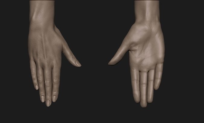 Realistic Female Hand Sculpt 10 3D model
