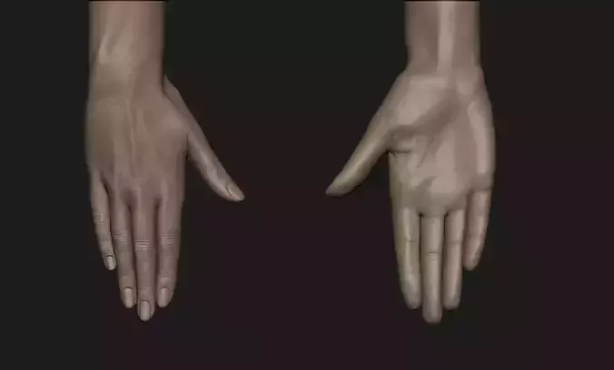 Realistic Female Hand Sculpt 10 3D model