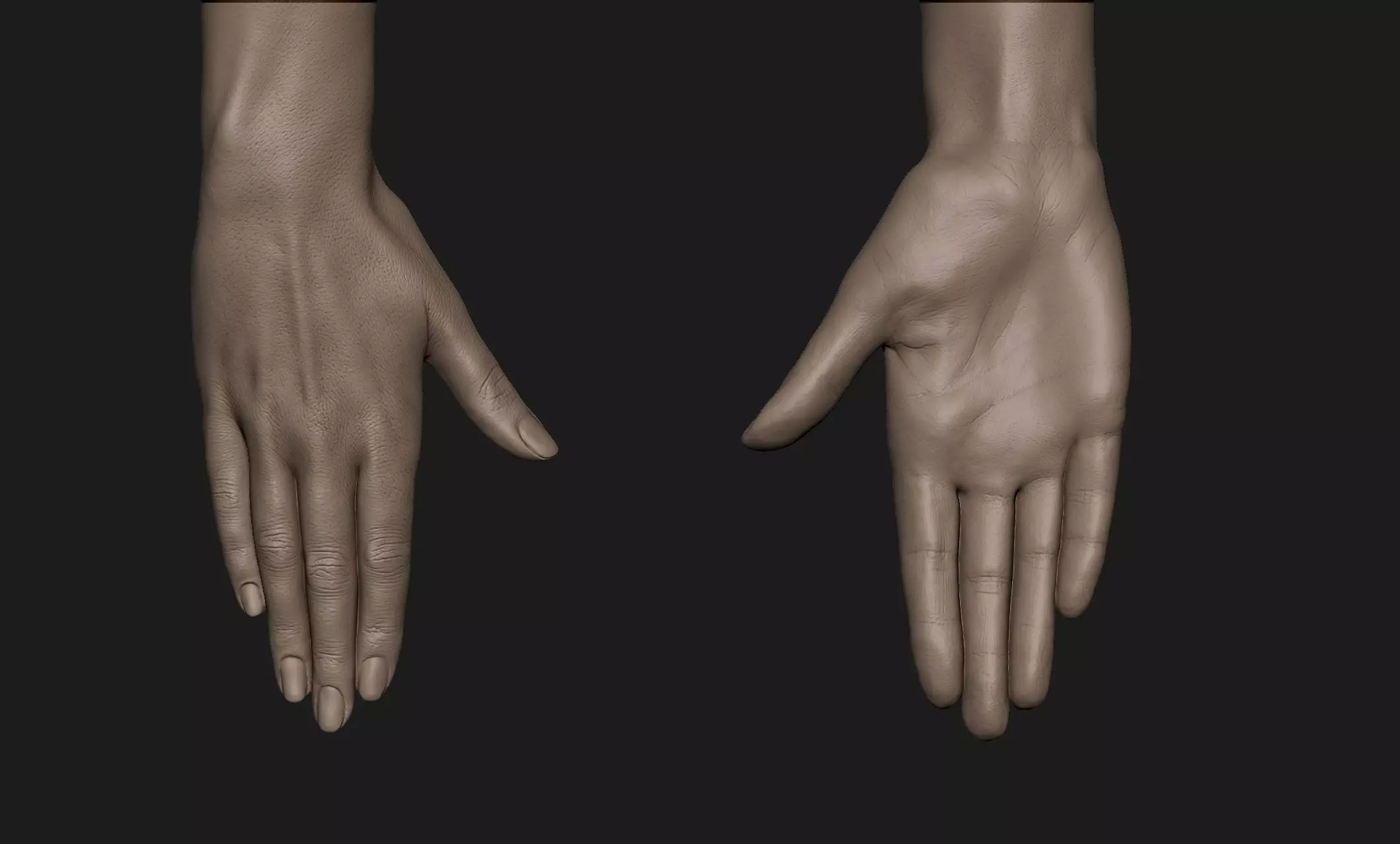 Realistic Female Hand Sculpt 10 3D model_0