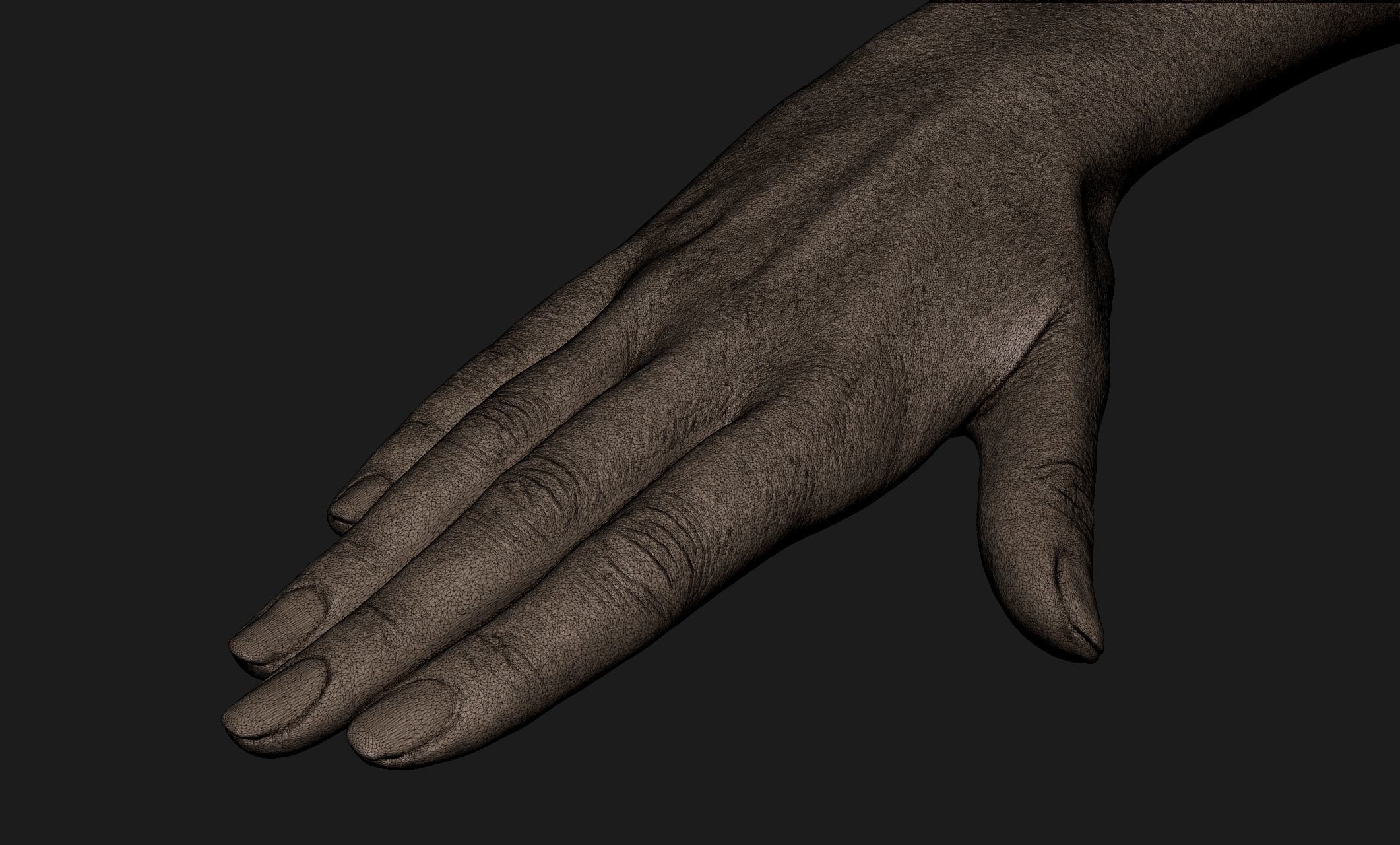 Realistic Female Hand Sculpt 10 3D model_9