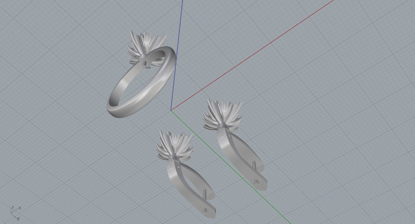 Ring and Earrings  3D print model_17