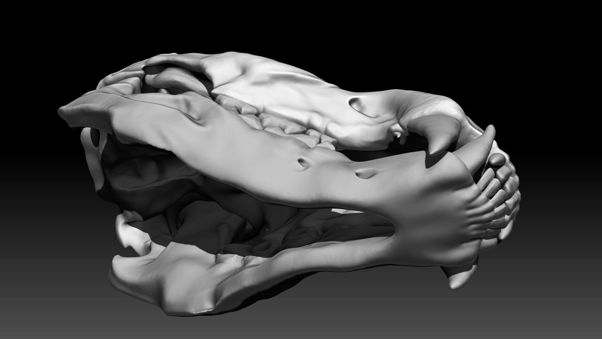 Lion Skull Sculpt Project 3D model_6