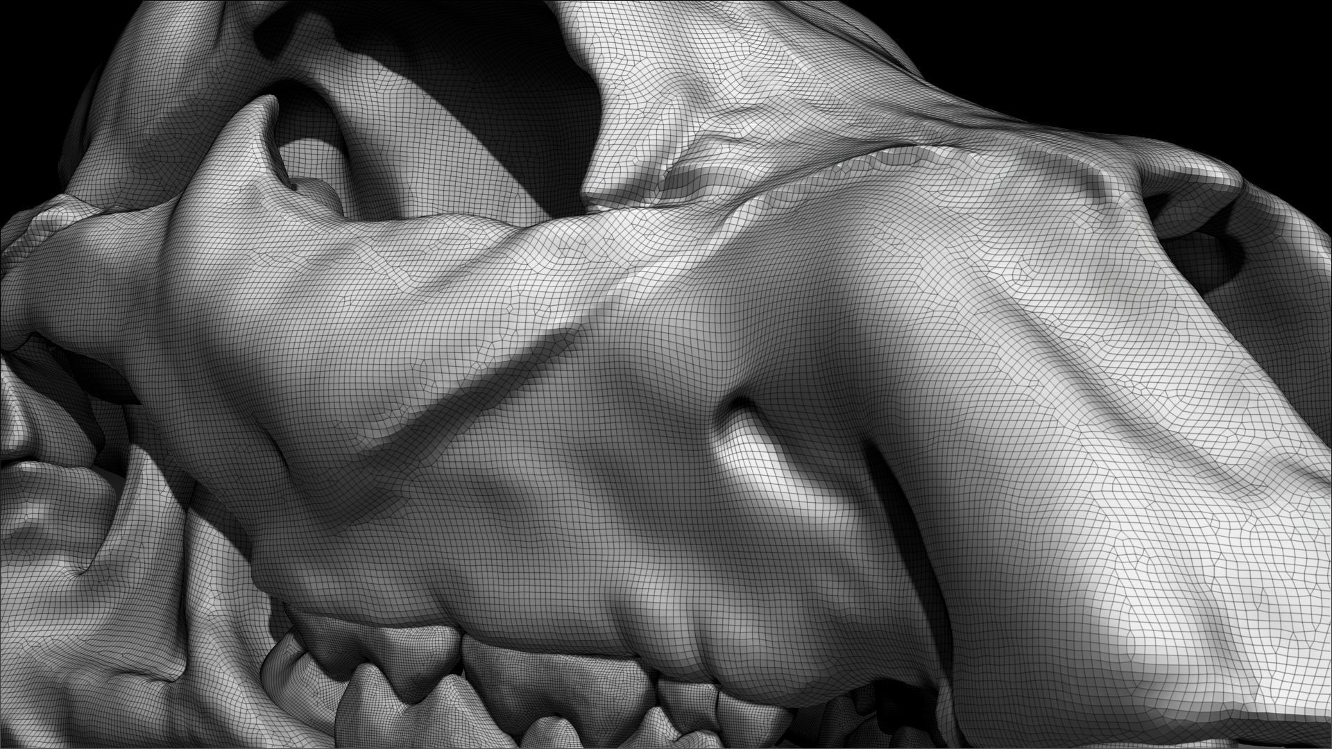 Lion Skull Sculpt Project 3D model_10