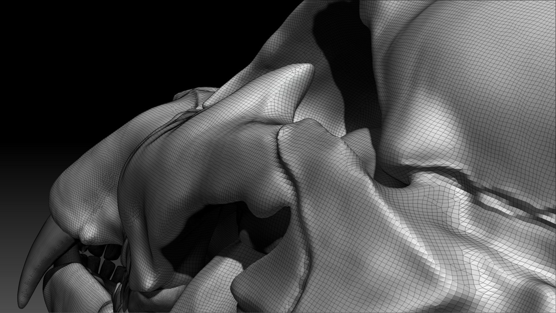 Lion Skull Sculpt Project 3D model_7