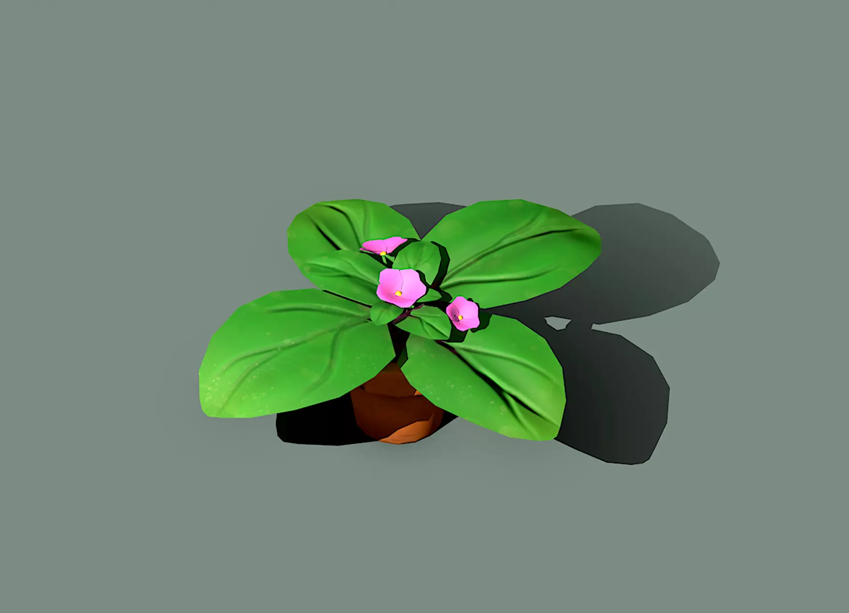 Flower plant in pot Free low-poly 3D model_0