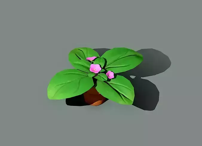 Flower plant in pot