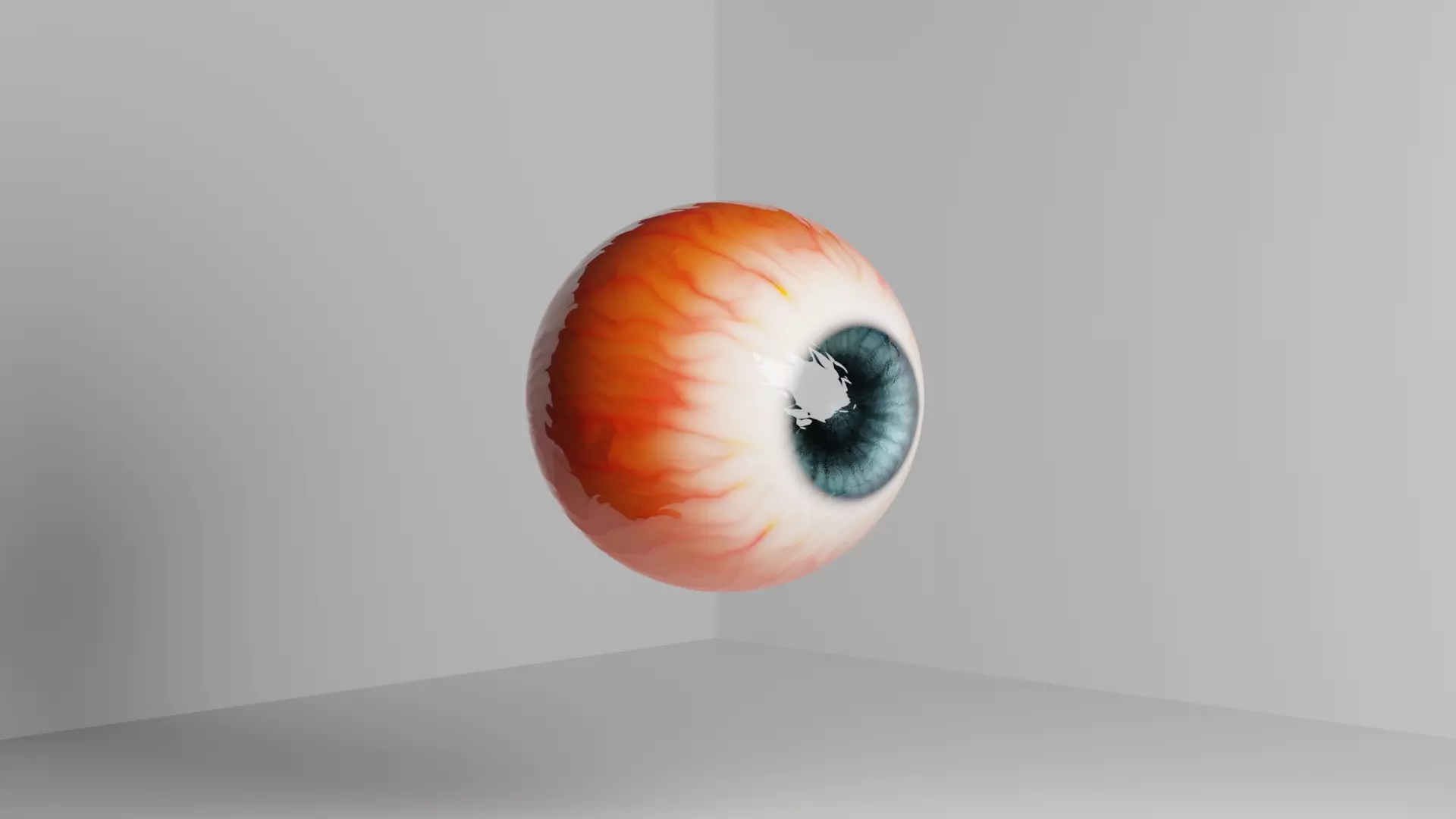 Human eye anatomy 3d model 3D model