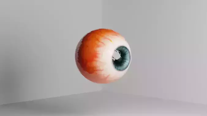 Human eye anatomy 3d model 3D model