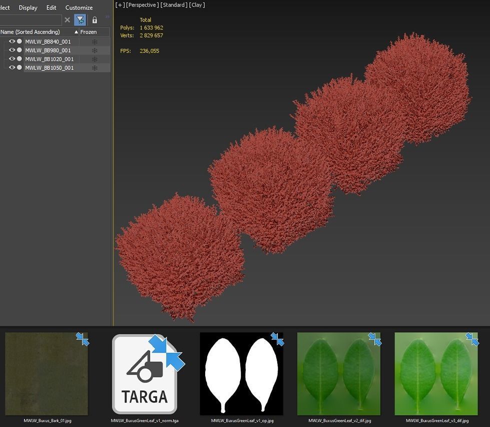 Boxwood cubes 84 - 105cm high 3D model_5