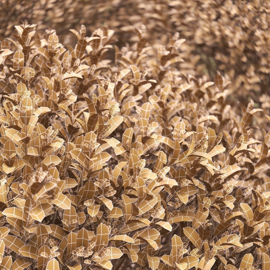 Boxwood cubes 84 - 105cm high 3D model_4