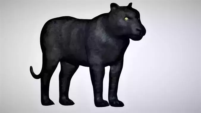 Black Panther 3D model