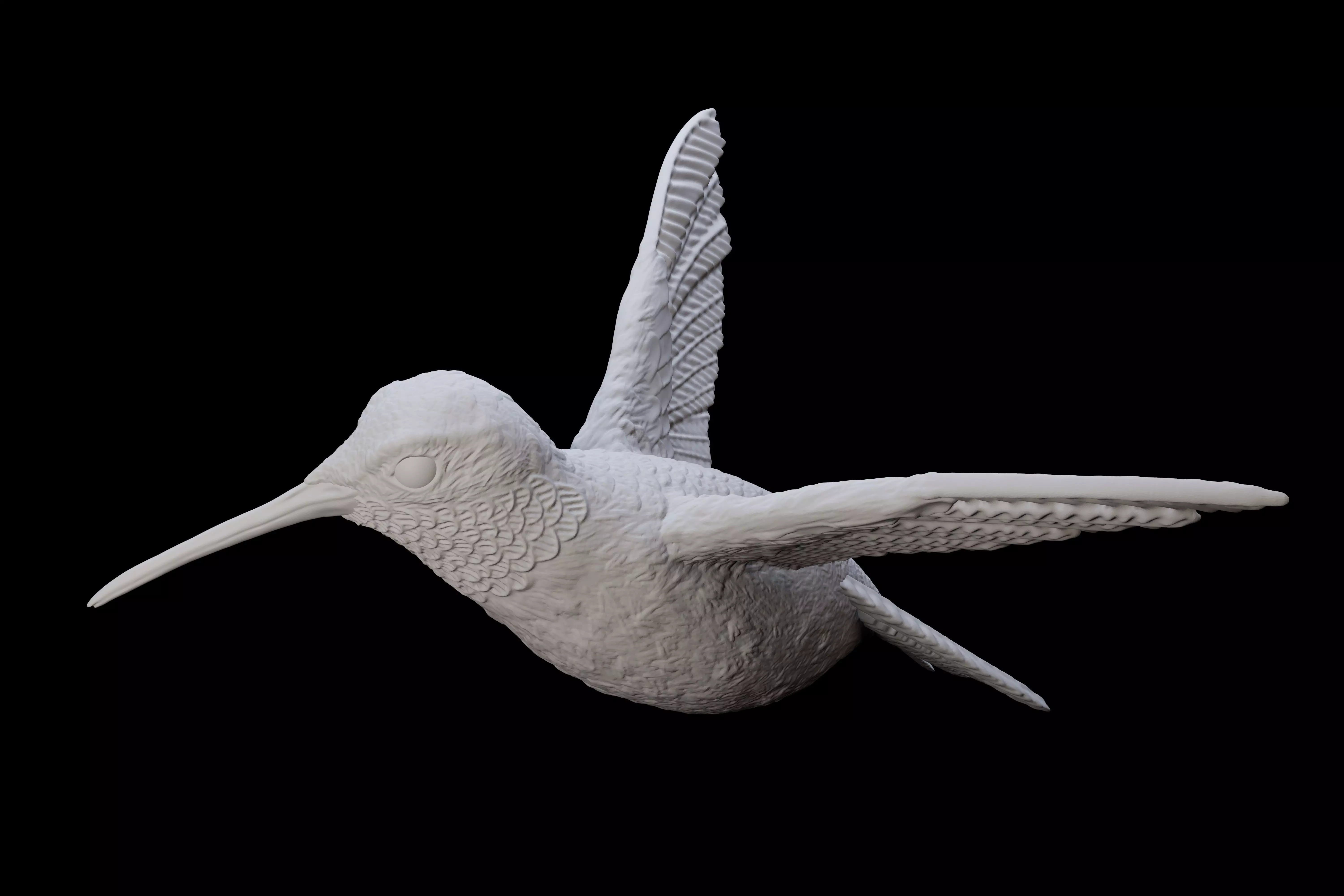 Hummingbird for 3d printing 3D print model