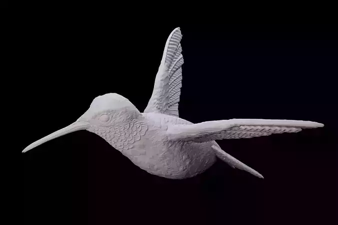 Hummingbird for 3d printing