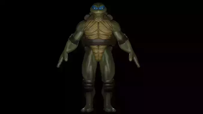 Teenage Mutant Ninja Turtles Leonardo