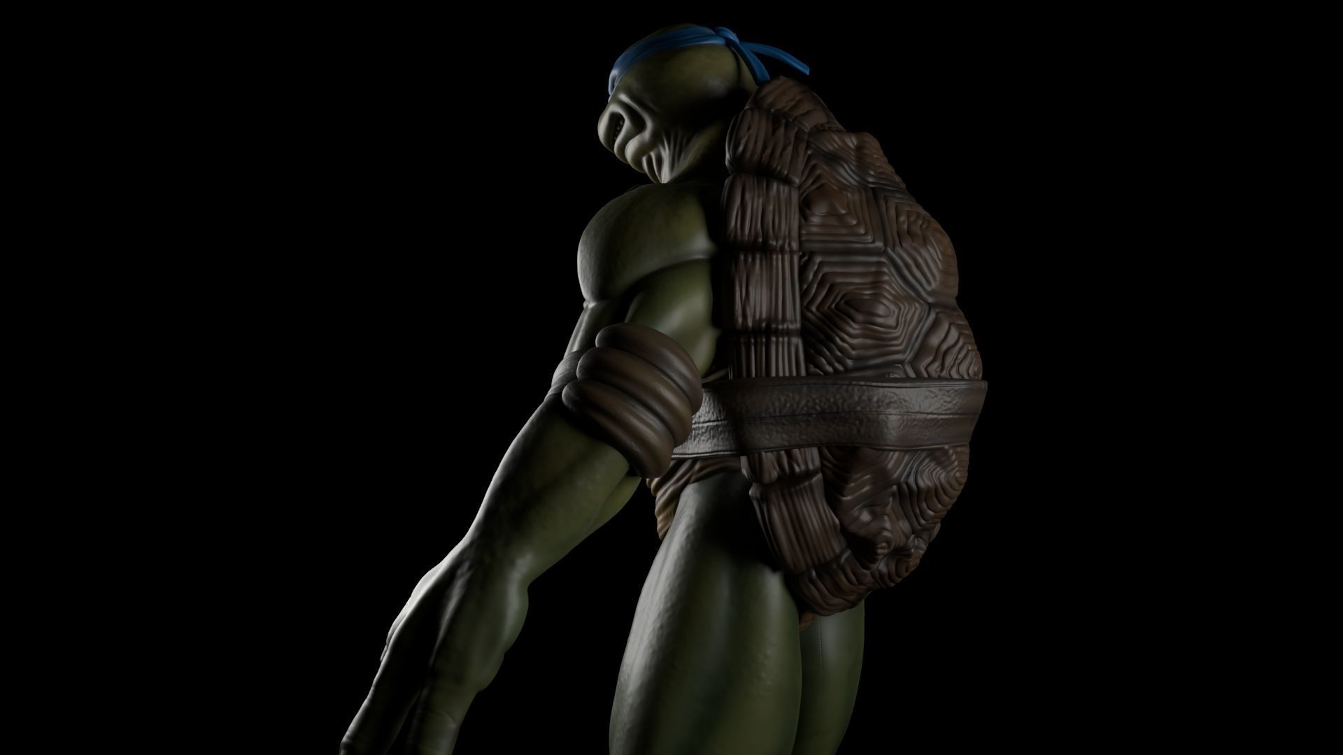 Teenage Mutant Ninja Turtles Leonardo 3D model_2