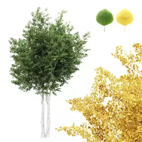 Silver Birch AVATAR tree collection 2 trees in the scene Free 3D model