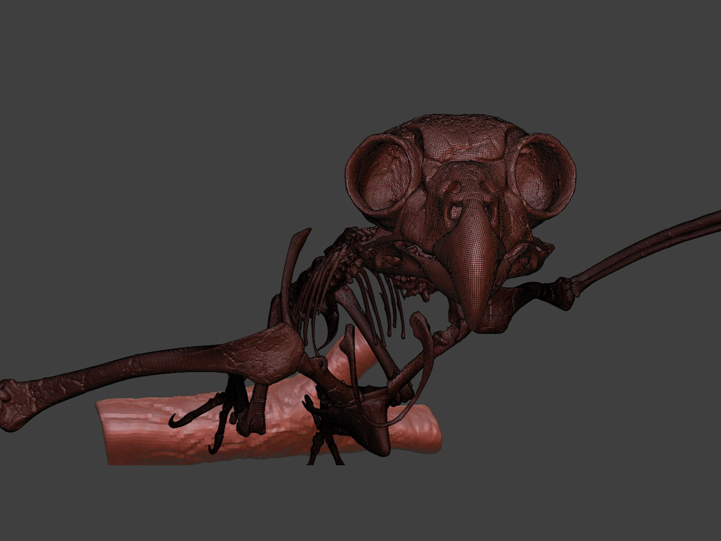 Silver Metal Owl Skeleton for Art Visualization Project 3D model_7