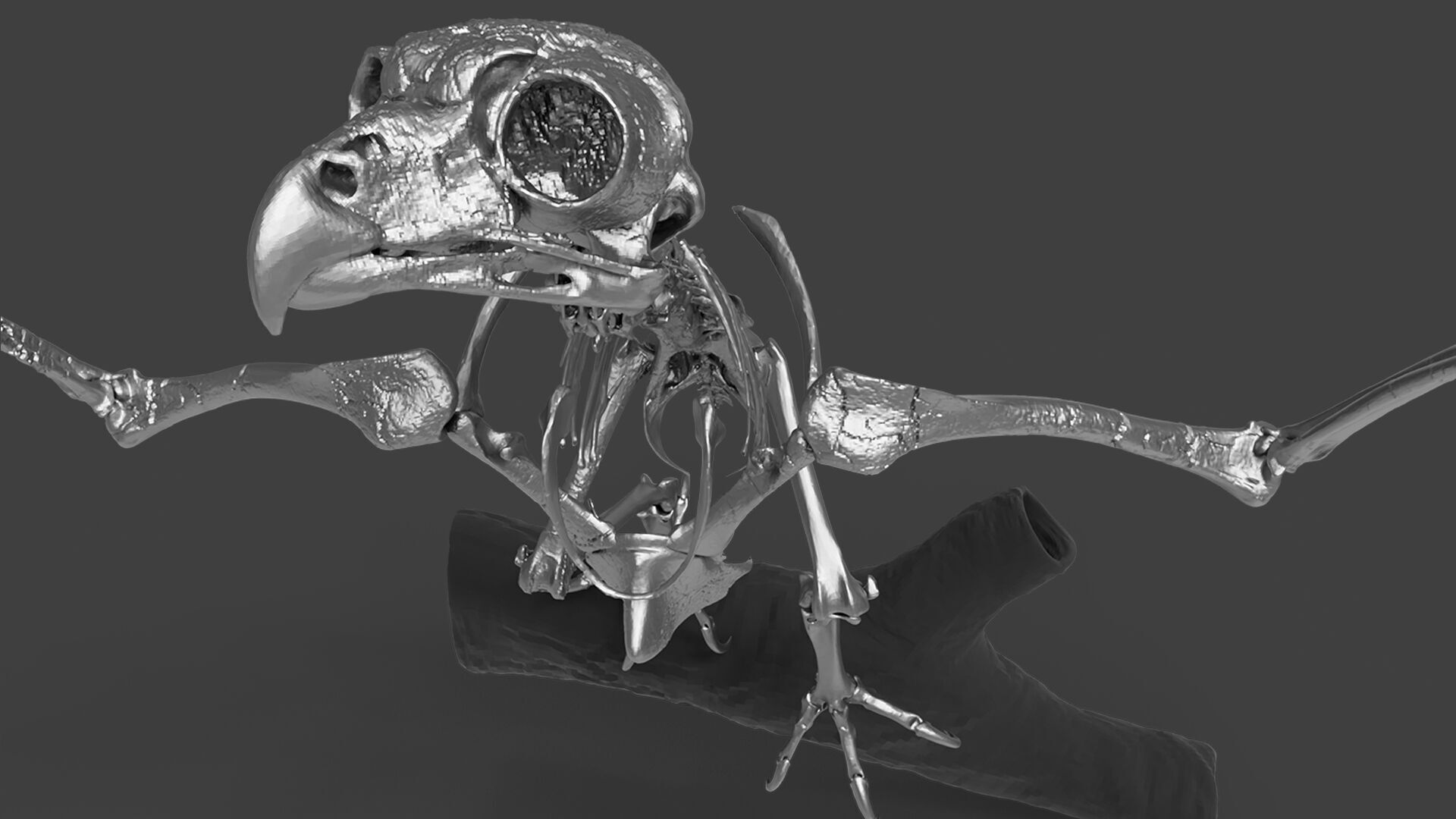 Silver Metal Owl Skeleton for Art Visualization Project 3D model_5