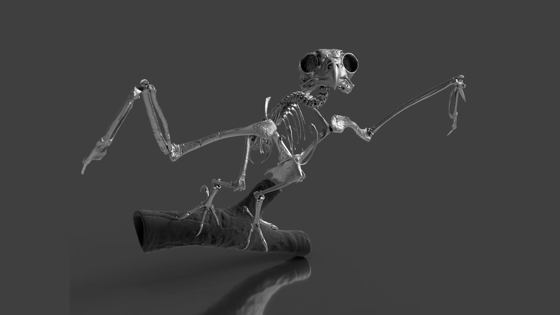 Silver Metal Owl Skeleton for Art Visualization Project 3D model_1