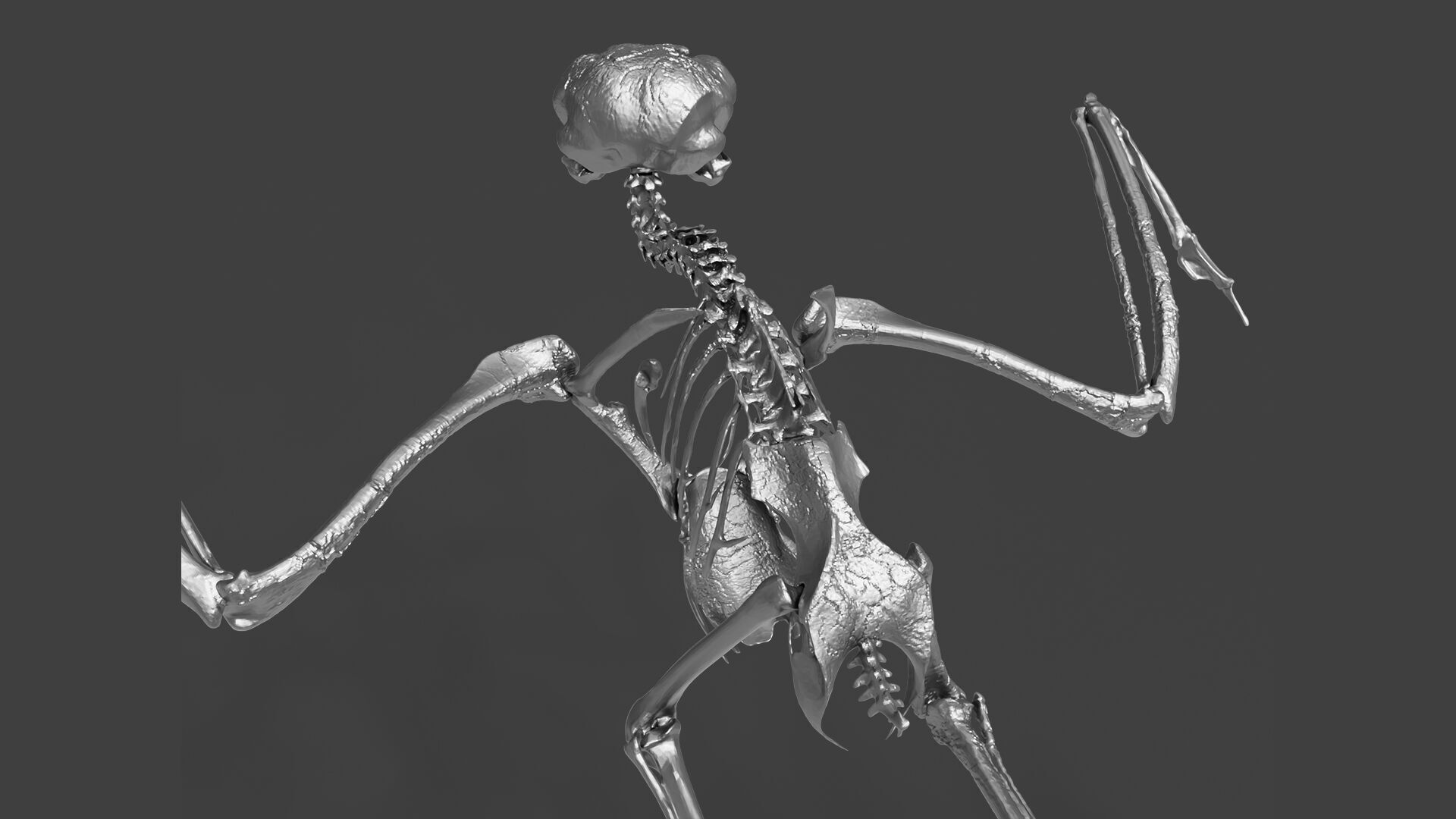 Silver Metal Owl Skeleton for Art Visualization Project 3D model_3