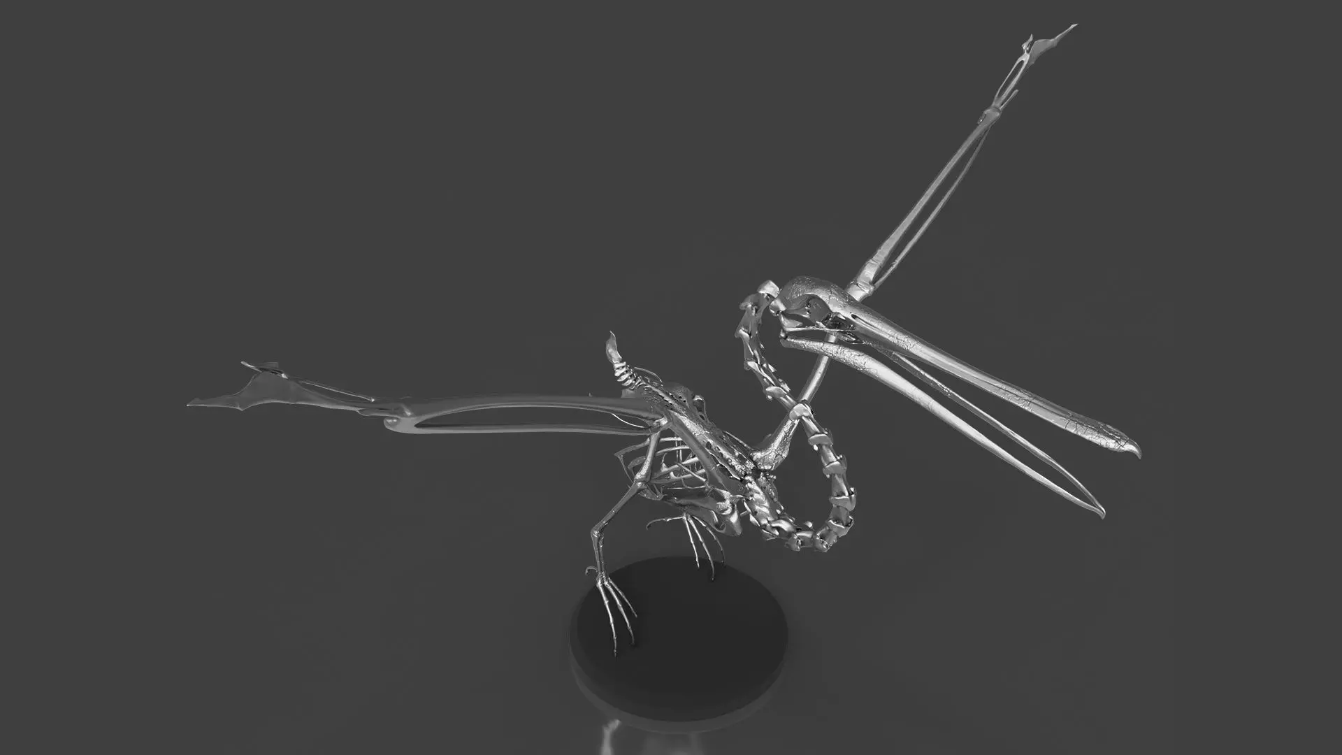 Silver Pelican Skeleton for Art Project 3D model_0