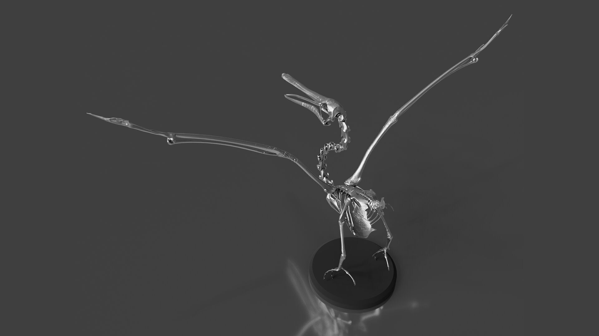 Silver Pelican Skeleton for Art Project 3D model_4