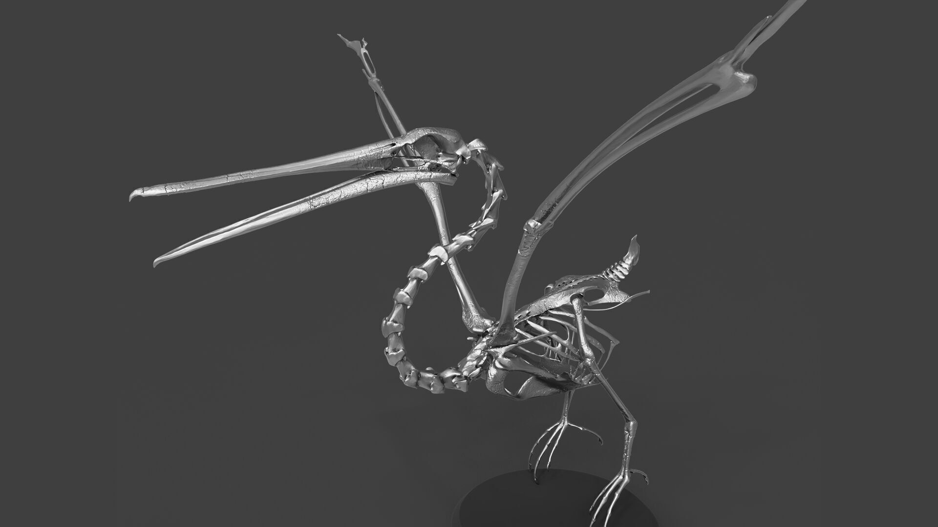 Silver Pelican Skeleton for Art Project 3D model_5