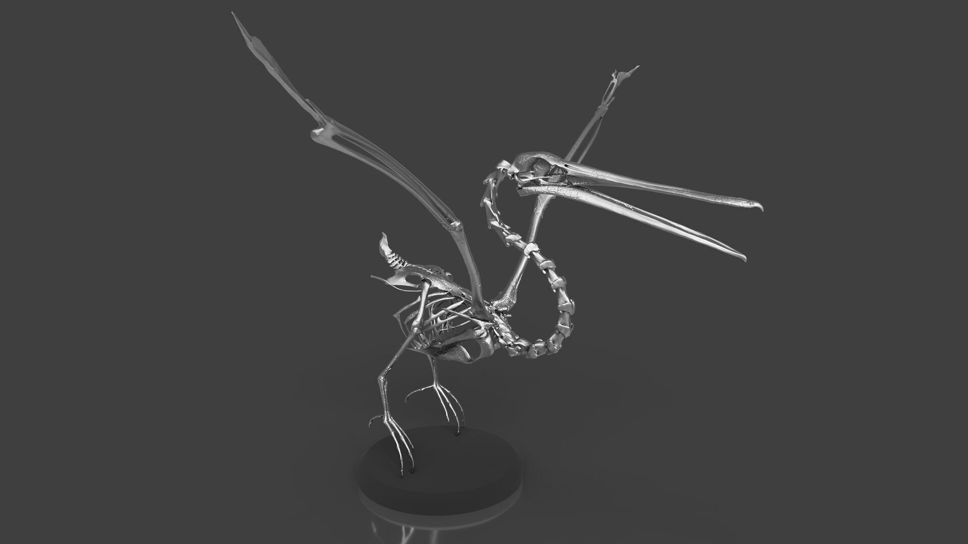 Silver Pelican Skeleton for Art Project 3D model_1