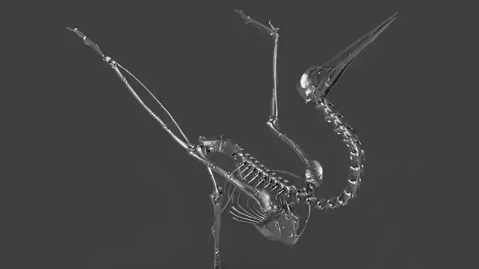 Silver Crane Skeleton  3D model