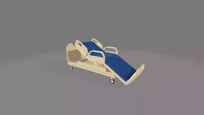 Hospital Bed