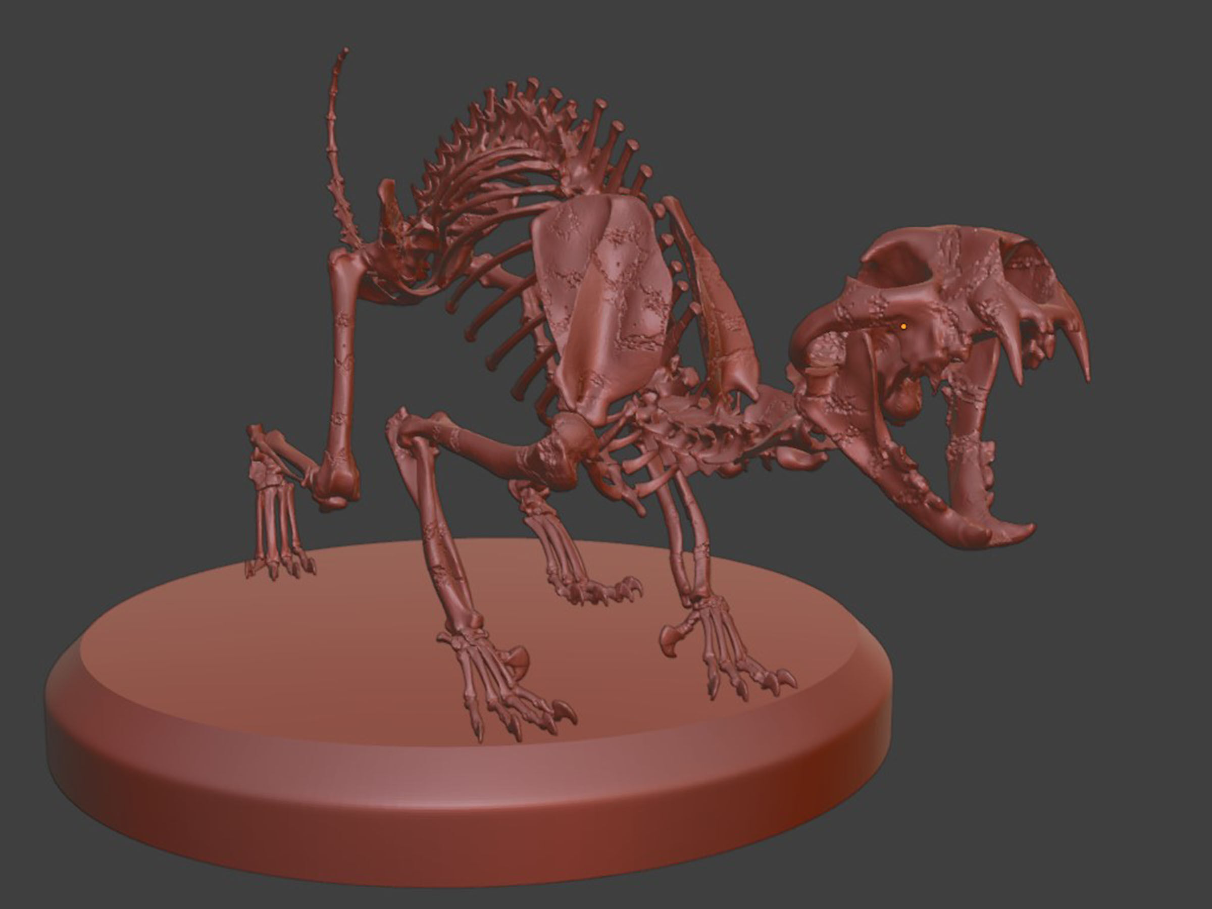 Realistic Cat Skeleton 3D model_6
